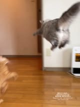 GScCI3XWwAA7WoQ