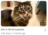 full of surprises