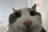 1749483752720614