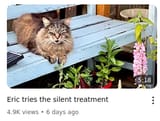 silent treatment