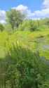20250628_100247_thumb.jpg