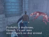 doghouse