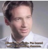 based Mulder