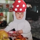 mushroom