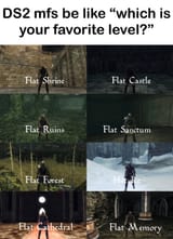 DS2 levels