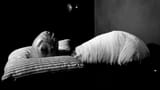 eraserhead_baby[1]