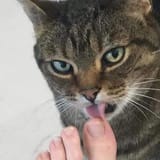 1672246160354002