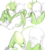 kissing mantis