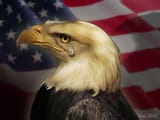 e4b061fb8ac0539cd453f6c921bb01f7