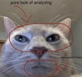 1723840148177076