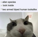 1748304479617681