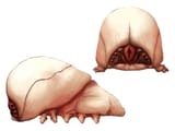 Brain_Bug