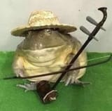 hillbilly frog