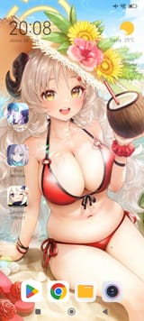 Screenshot_2025-06-28-20-08-15-079_com.mi.android.globallauncher