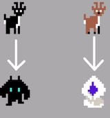 deers
