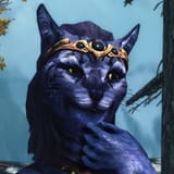 skyrimcat