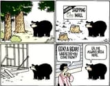 Teddy-land-I-have-always-been-here-3245530754