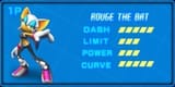 rouge_stats