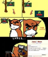 fox and the deck