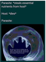 1736879315082216