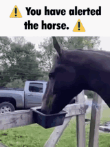 1739070610397977