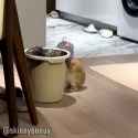 [sound=https%3A%2F%2Ffiles.catbox.moe%2F17f2j9.ogg]_thumb.jpg