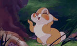 bambi-cute-rabbit-thumper-girlfriend-9zhnpag67fdiffmq