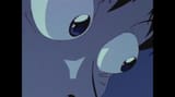 mfw feet