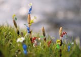 Horsetail_Pikmin