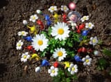 Pikmin_flower_dance