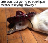 1463823475221