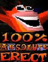 erecticoot