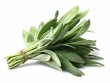 sage