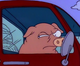 Pig Squint