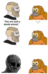 1741495331910988