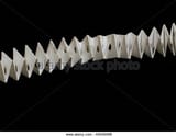 accordion