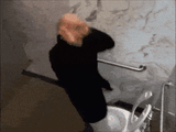 VERY Loud Toilet