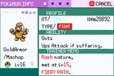 Pokemon Emerald Seaglass v3.0-250629-005934