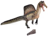 pnso-19-spinosaurus-aymen-standing3__08204