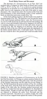 T-Rex get up