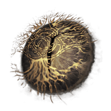 iris_of_grace_elden_ring_shadow_of_the_erdtree_dlc_wiki_guide_200px