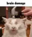 1728411331542689_thumb.jpg