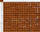 1687906549510[1]