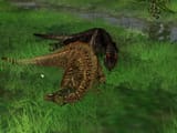 Dinobros