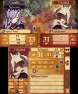 Fire Emblem Fates_28.06.25_17.19.11.988