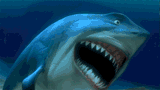1751157231367948.gif