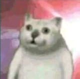 15386469552