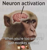 ai-meme.com