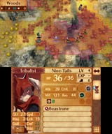 Fire Emblem Fates_28.06.25_18.25.30.212