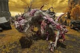 ulcerated tree spirit